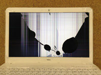 SONY SVE141R11N　画面の故障画像