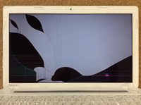 東芝 PT45333LSXWM 液晶交換前