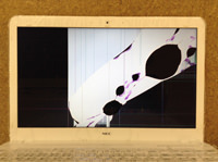 NEC LS150/L 液晶割れ