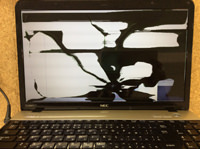 NEC PC-GL223G5AS 画面修理前