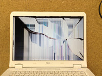 NEC LL550/S 液晶割れ