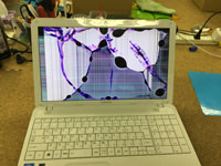 BX/35HWHT 液晶割れ