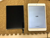 ipad Mini 画面が映らない